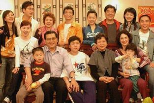 外来媳妇本地郎（外来媳妇本地郎演员表）