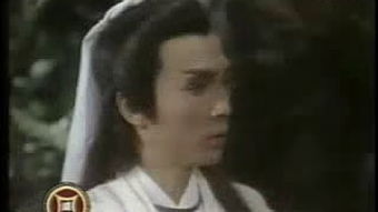 粤视频（粤视频粤语电视剧萍踪侠影）