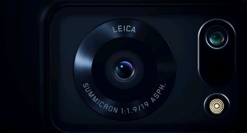 喜爱夜蒲歌1全部歌曲（喜爱夜蒲开头那歌叫什么）