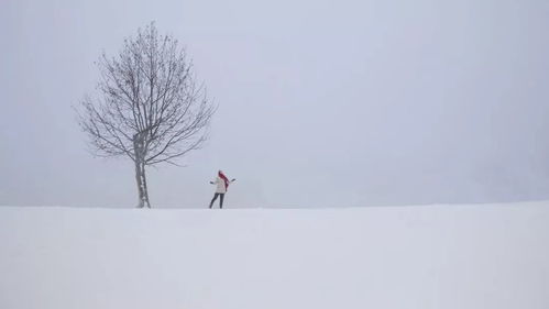 这里没有冬季（这里没有冬季在线观看）