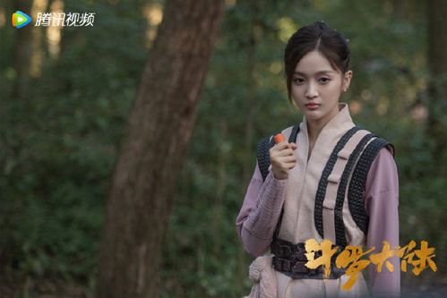 一仆二主电视剧全集48免费观看（一仆二主电视剧完整版全集48）