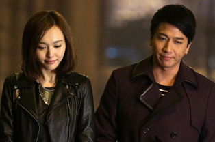 推荐看10遍以上的电视剧（适合中年女人看的电视剧）