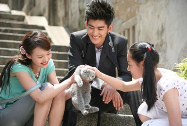 一起来看流星雨在线观看免费高清（一起又看流星雨在线观看免费高清）