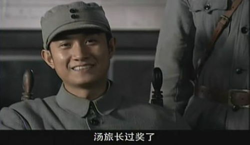 电视剧雪豹（电视剧雪豹文章版）