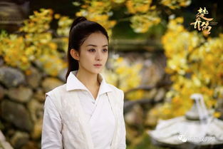 江淮依旧电视剧免费观看（江淮依旧电视剧百度云）