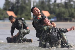 特种兵电视剧全部（特种兵电视剧全部连续剧）