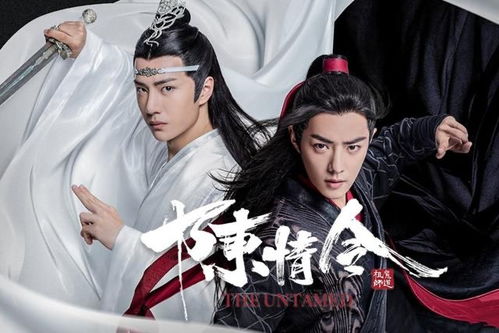 陈情令免费观看完整版（陈情令免费观看完整版高清动漫视频）