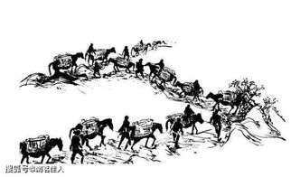 奔跑吧茶马古道篇免费观看（奔跑吧茶马古道篇免费观看2025）