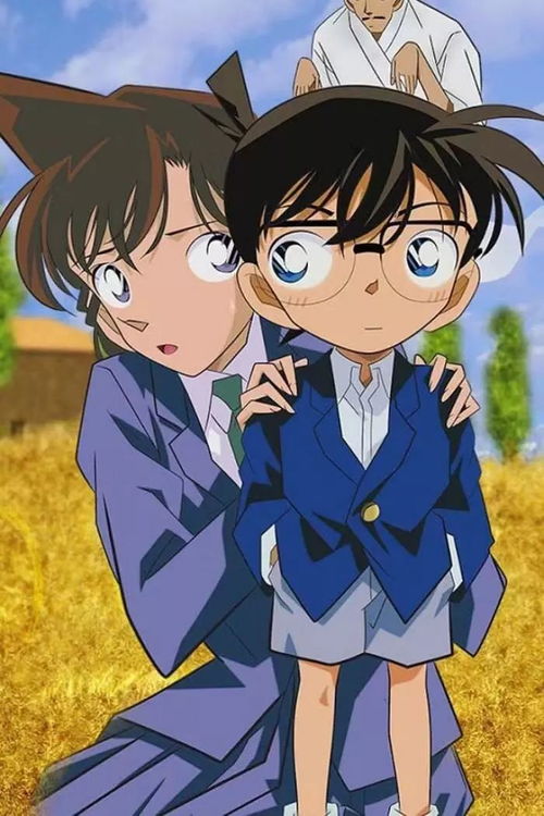 关于名侦探柯南在哪看的信息