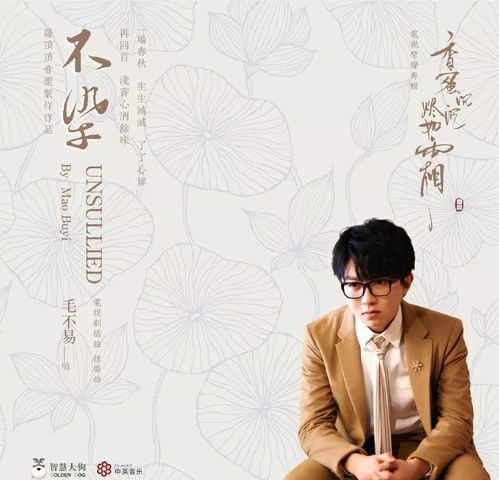 电视剧主题曲（电视剧主题曲ost）