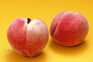 水蜜桃美国的简单介绍