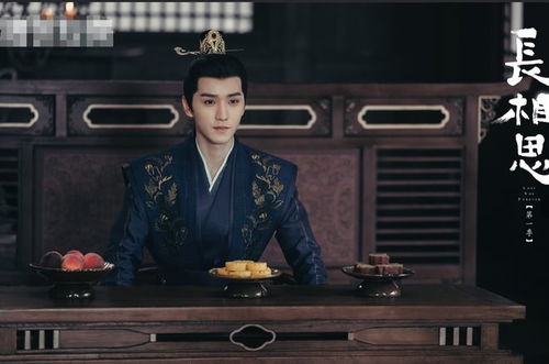 长相思电视剧45集免费（长相思 电视）