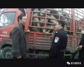 不当行为1994(不当行为1994魔力看极速版全集) 不当行为1994(不当行为1994魔力看极速版全集)