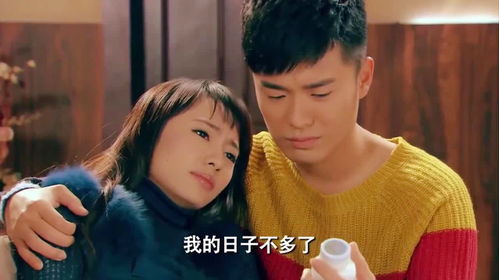 爱情公寓4电视剧（爱情公寓4第一集高清）