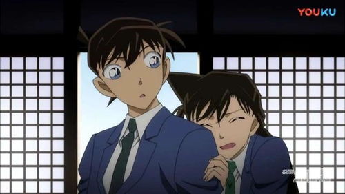 名侦探柯南1000集免费观看的简单介绍