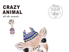 人物动物互动高清视频素材下载（人物动物互动高清视频素材下载网站）