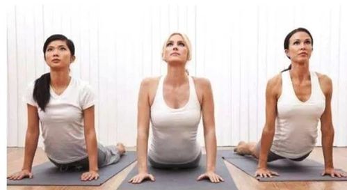 瑜伽教练（瑜伽教练林飒）