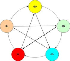 五行风云（五行风水解读在线阅读）