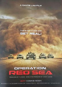 红海行动电影在线观看（红海行动电影在线观看国语）