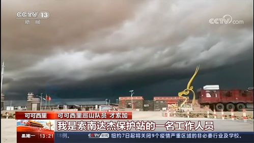 高清精品无人区的简单介绍