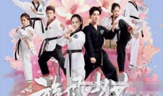 旋风（旋风少女第三季在线观看）