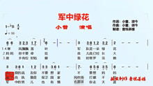 军中绿花歌词（军中绿花歌词内容）