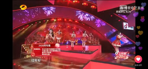 2020湖南卫视春节联欢晚会（2020湖南卫视春节联欢晚会芒果TV）