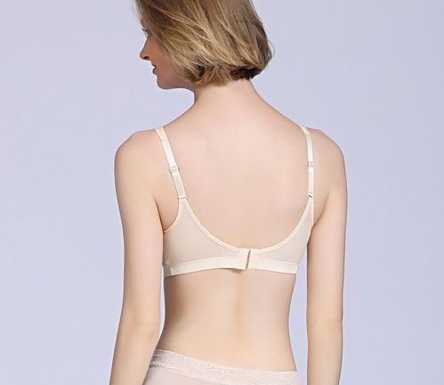 女士真丝透明超薄内衣价格（透明真丝文胸薄款无钢圈）