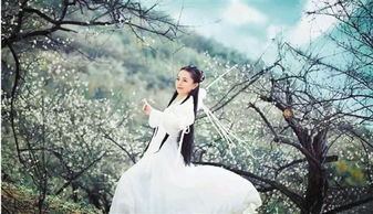 世子很凶插花弄玉主要拍摄地点（世子很凶 这是做什么用的）