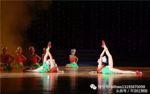 幼儿舞蹈视频（幼儿舞蹈视频大全13岁）