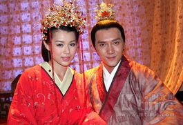 美人心计电视剧（美人心计电视剧免费观看）