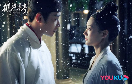 斗罗大陆254集免费观看（斗罗大陆电视剧第25集免费观看）