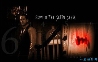 全球惊悚片排行榜前十名（全球惊悚片排行榜前十名电影）