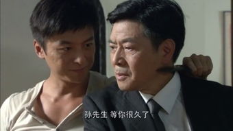 冷风暴电视剧全集播放39集（冷风暴电视剧全集播放37集）