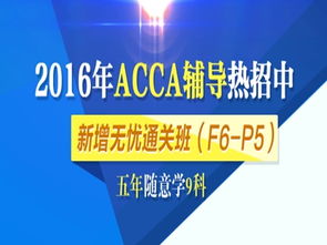 acca少女网课视频（ACCA少女网课视频高清）