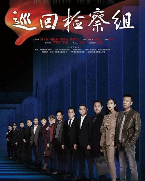 巡回检察组电视剧免费（巡回检察组电视剧免费版）
