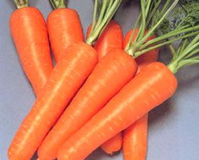 用胡萝卜弄到高c（把胡萝卜擦成丝）