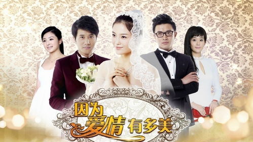 爱来的刚好第60集电视剧免费观看（爱来的刚好电视剧全集40集）