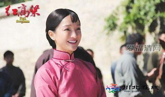 红高粱电视剧全集60集(红高粱电视剧全集60集免费播放第十六集红高梁) 红高粱电视剧全集60集(红高粱电视剧全集60集免费播放第十六集红高梁)