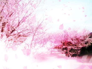 樱花动漫官方入门网站(樱花动漫yhd官网) 樱花动漫官方入门网站(樱花动漫yhd官网)