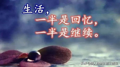 人生(人生感悟的经典句子) 人生(人生感悟的经典句子)