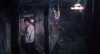 被中国封了30年的鬼片（中国被禁的鬼片有哪些?）