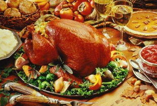 火鸡影视（火鸡影视在线观看网站入口）