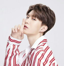 《他弄丢了他的心尖小丫头》(她不哄他了江荞许肆) 《他弄丢了他的心尖小丫头》(她不哄他了江荞许肆)