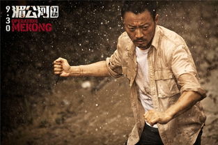 电影金三角行动（金三角警匪片）