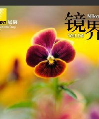 野花日本中文版免费观看的简单介绍 野花日本中文版免费观看的简单介绍