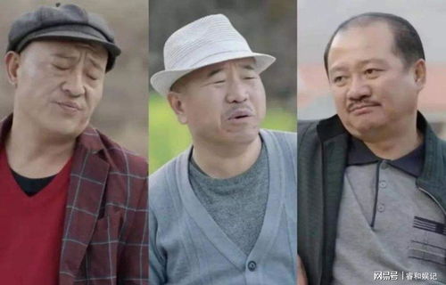 乡村爱情13全集免费观看（乡村爱情13全集免费观看高清）