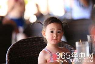 爸爸回来了(爸爸回来了第一季免费观看) 爸爸回来了(爸爸回来了第一季免费观看)