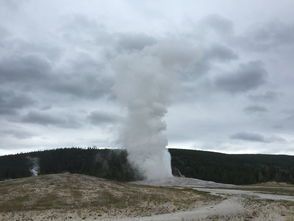 yellow（yellowstone）