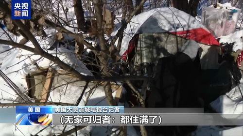 致命的冬季风暴（致命的冬季风暴免费观看）